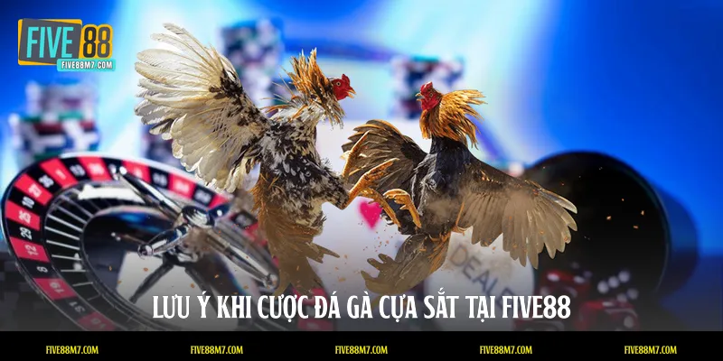 Lưu ý khi cược đá gà cựa sắt tại FIVE88